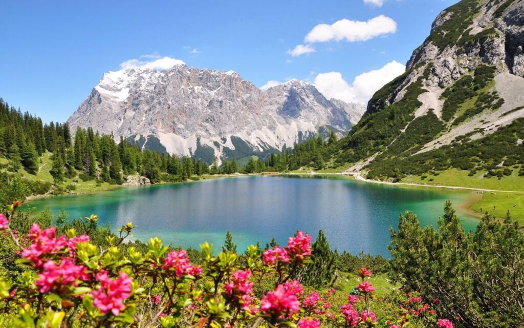 Valley of Flowers Trek