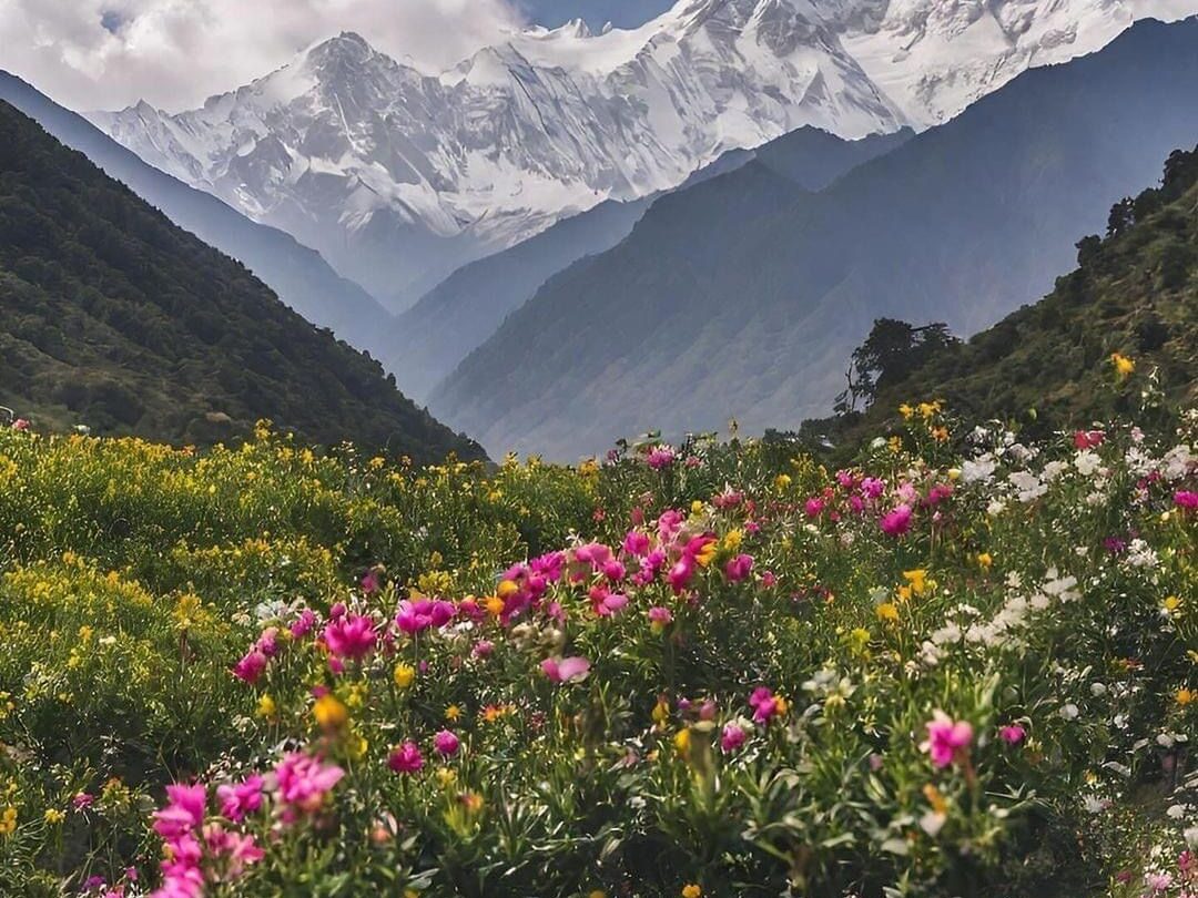 Valley of Flowers Trek